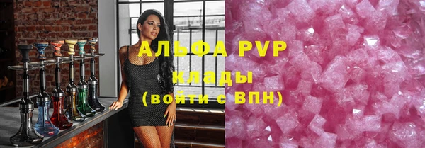 дживик Новозыбков