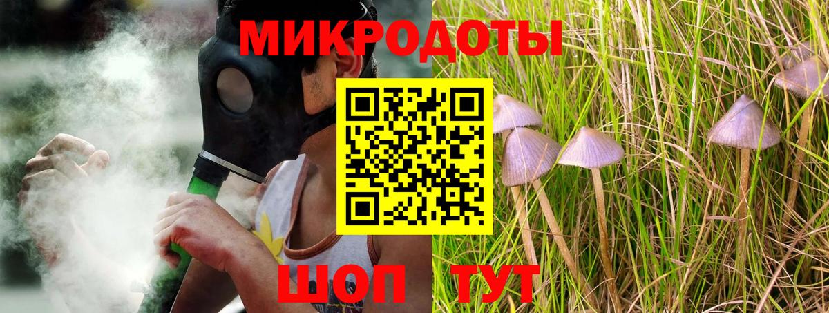 Галлюциногенные грибы Psilocybine cubensis Кольчугино