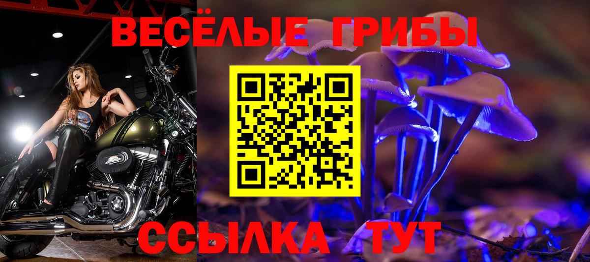 Кольчугино  Псилоцибиновые грибы мицелий  Псилоцибиновые грибы мицелий  цены   Вход с VPN 
