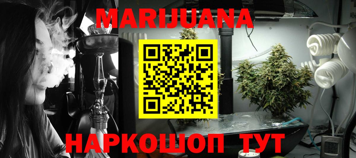 Кольчугино  Бошки марихуана конопля  Вход с VPN  Каннабис план  Конопля марихуана 